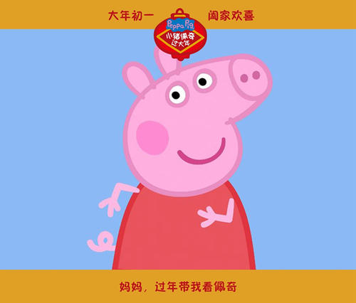 购买仿真个人基本信息查询表